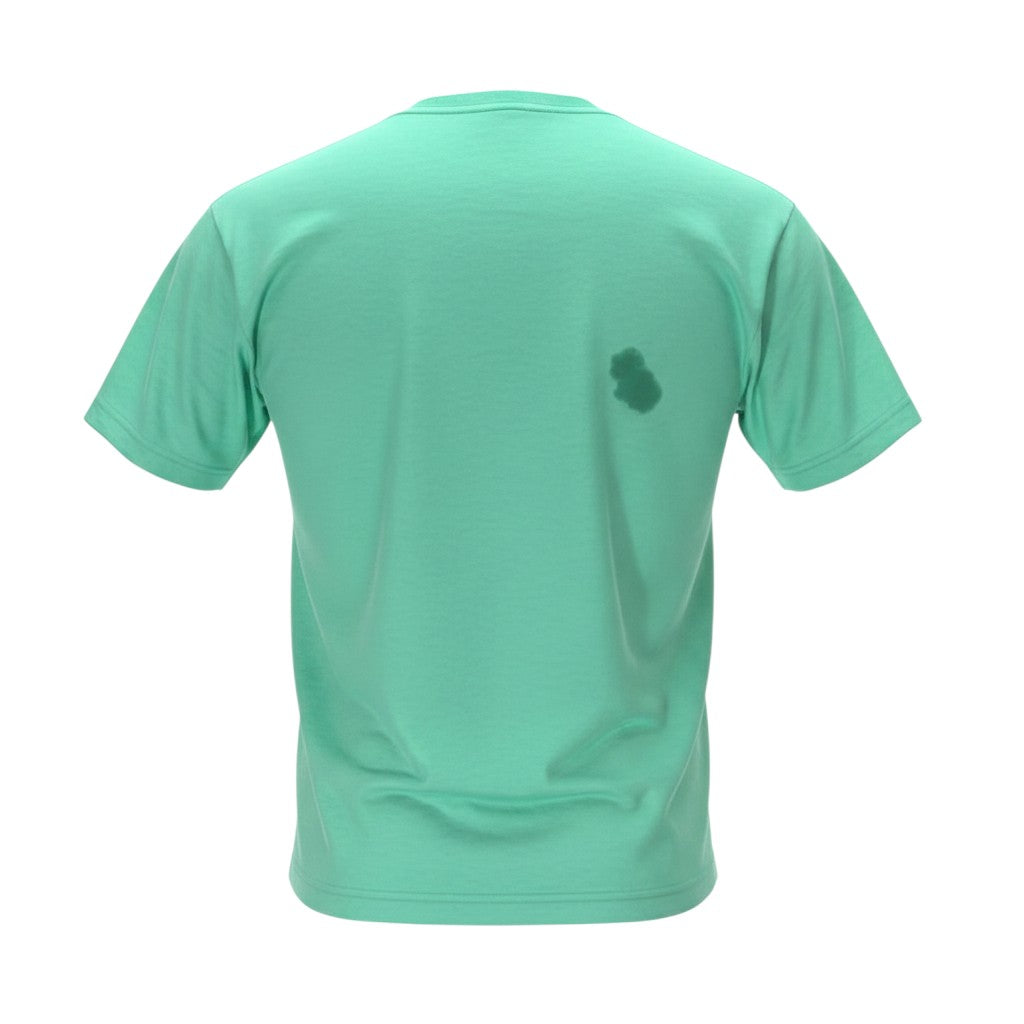 Authentic Box Logo Mint Green Tee