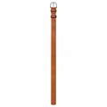 Tan leather belt with rounded silver buckle on white
