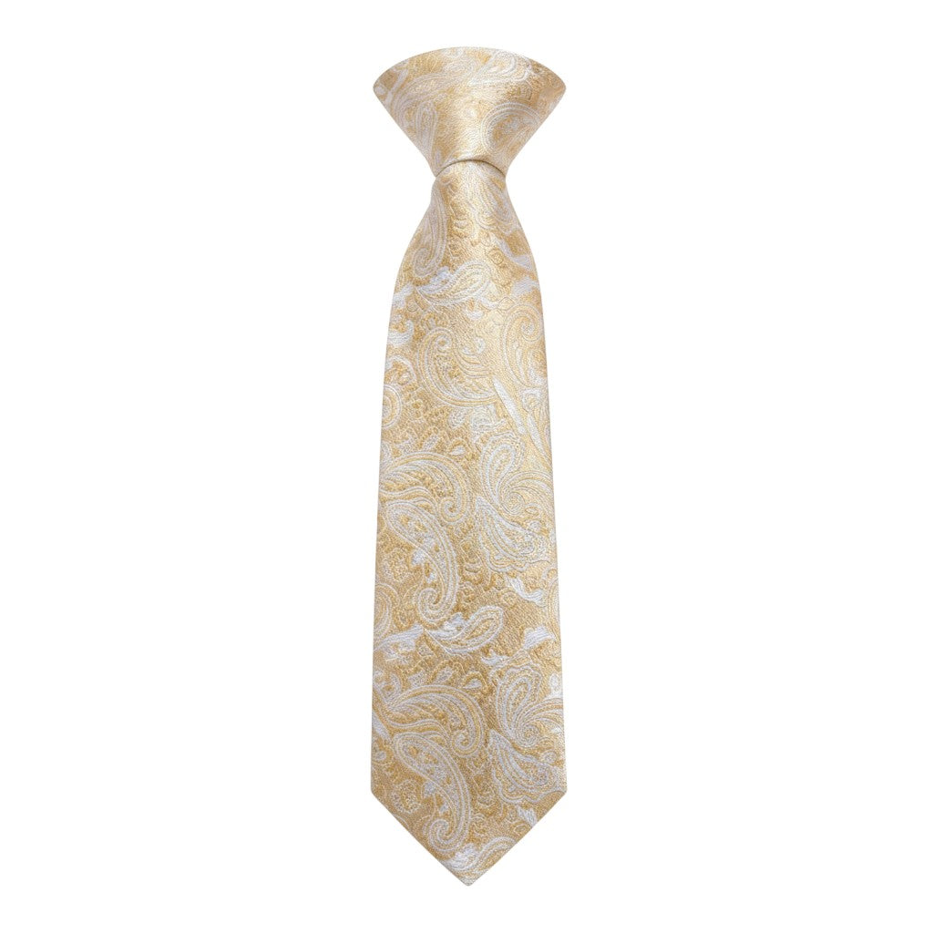 Men's Champagne Gold Tonal Paisley Jacquard Woven Necktie