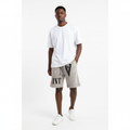 SVINT Distressed Graphic Shorts Grey – Model Shot