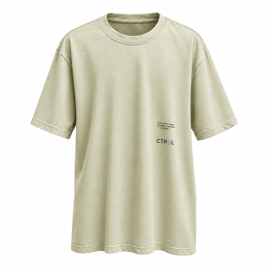 Sage washed oversized graphic tee ghost mannequin